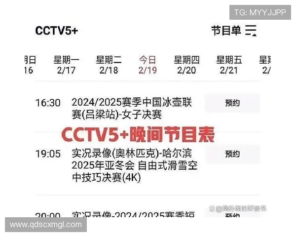 官方公布央视与体育频道多场焦点赛事转播安排解读